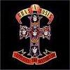 APPETITE FOR DESTRUCTION